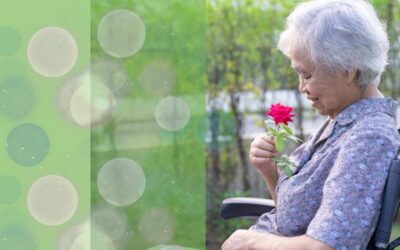 Understanding Dementia and Alzheimer’s Disease